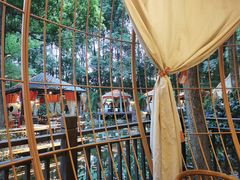 -二荆条·蜀鲜汇城市森林火锅