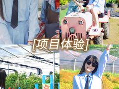 -栖露营camping·天幕烧烤·团建拓展·采摘营地