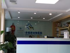 -喜多萌中农锦绣动物医院24H·猫科·牙科MRI·CT