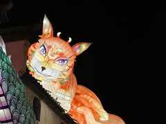 -横店影视城梦幻谷园区