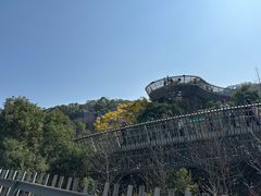 -福道