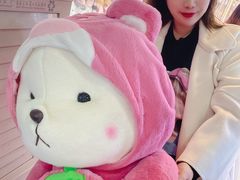 -PAWTOY爪e玩偶店(天兴罗斯福店)