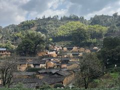 -杨家堂村