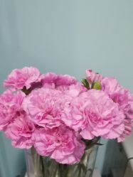 -斐尔国际皮肤管理中心