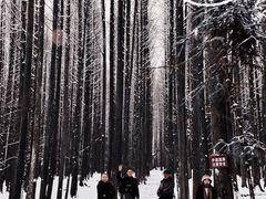 -武陵山森林公园