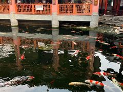 -香麒园·过桥米线·南湖雅宴
