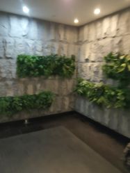 -盘子女人坊古装写真摄影(天津总店)