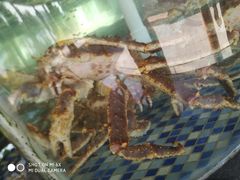 -顺德了能馆(虎门店)