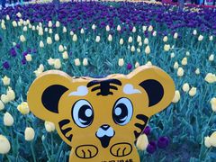 -长春公园(普阳街道)