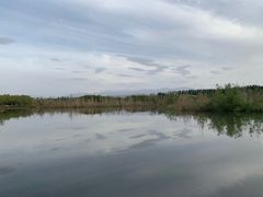 -清真·伊清阁餐厅