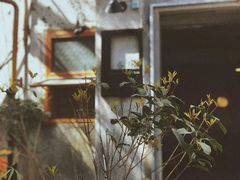-春庄咖啡SpringHues(钟楼小区店)