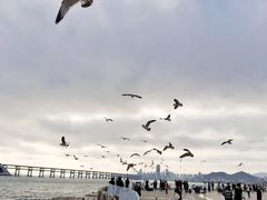-星海广场