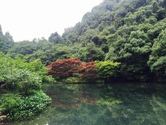 -龙井村