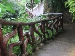 -鹿院坪生态旅游景区