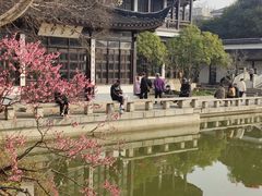 -红梅公园