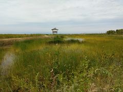 -黄沙古渡原生态旅游区