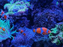 -多彩贵州城极地海洋世界