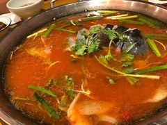 -新凯里酸汤鱼(飞山街店)