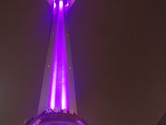 -SPACE(欢乐颂购物中心店)