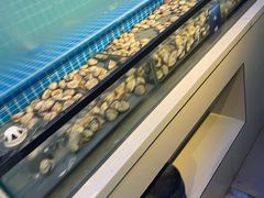 -海天盛宴潮汕蒸汽海鲜高端自助形象店