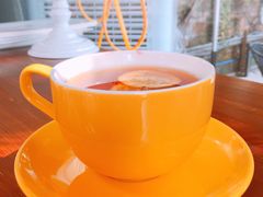 -柴犬高等学院·狗咖·柴犬售卖·宠物训练