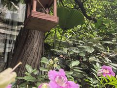 -古董花园(思南路42弄小区店)