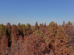 -泗洪洪泽湖湿地景区