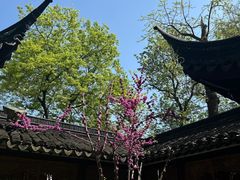 -枫桥景区