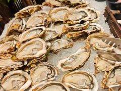 -初色海鲜自助(万丰路店)
