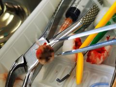 -上海市杨浦区牙病防治所