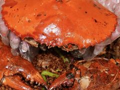 -喜记避风塘炒辣蟹(旗舰店)