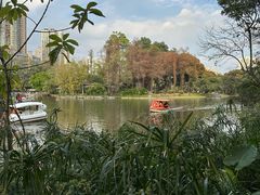 -晓港公园