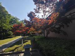 -习家池