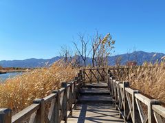 -野鸭湖国家湿地公园
