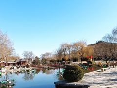-河北省园博园
