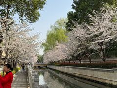 -北极阁公园