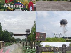 -泗洪洪泽湖湿地景区