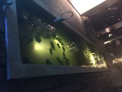 室外鱼池-T館·花园艺术餐厅