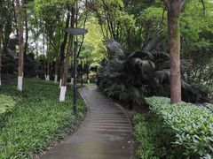 -重庆彩云湖湿地公园