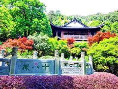 -十八棵（老龙井）御茶园(老龙井店)