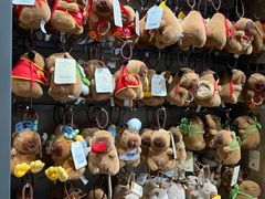 -TheGreenParty(槐房万达店)