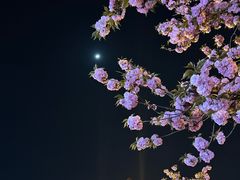 -小艺烧烤(曲江店)