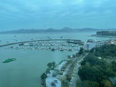 -希尔顿南海酒店·观廊大堂吧·海景下午茶