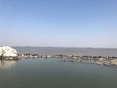 -吴淞炮台湾湿地森林公园烧烤区