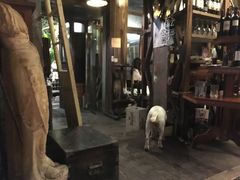 -爪哇空气酒吧