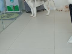 -怪兽屋·羊驼·猫咖·狗咖(俊华广场店)