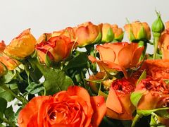 -昆明国际花卉拍卖交易中心