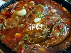 雅菲铁板臭桂鱼-YAFEE雅菲·粤菜·湘菜·融合菜(魏公村店)