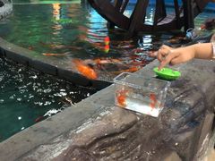 -锦艺城海洋馆