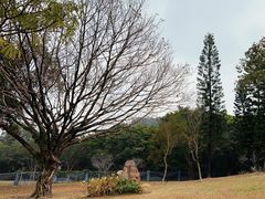 -广州市白云山风景名胜区